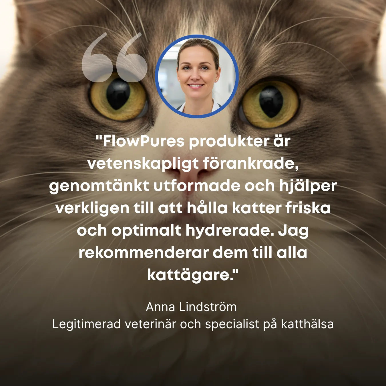 FlowPure Kattfontän - Veterinärgodkänd i Rostfritt Stål