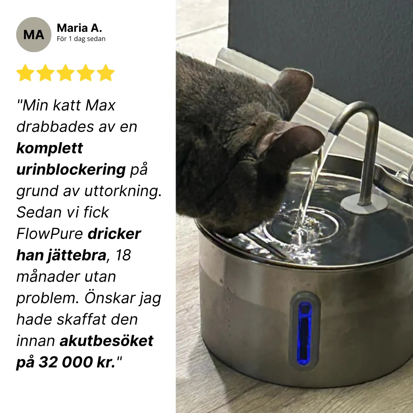 FlowPure Kattfontän - Veterinärgodkänd i Rostfritt Stål